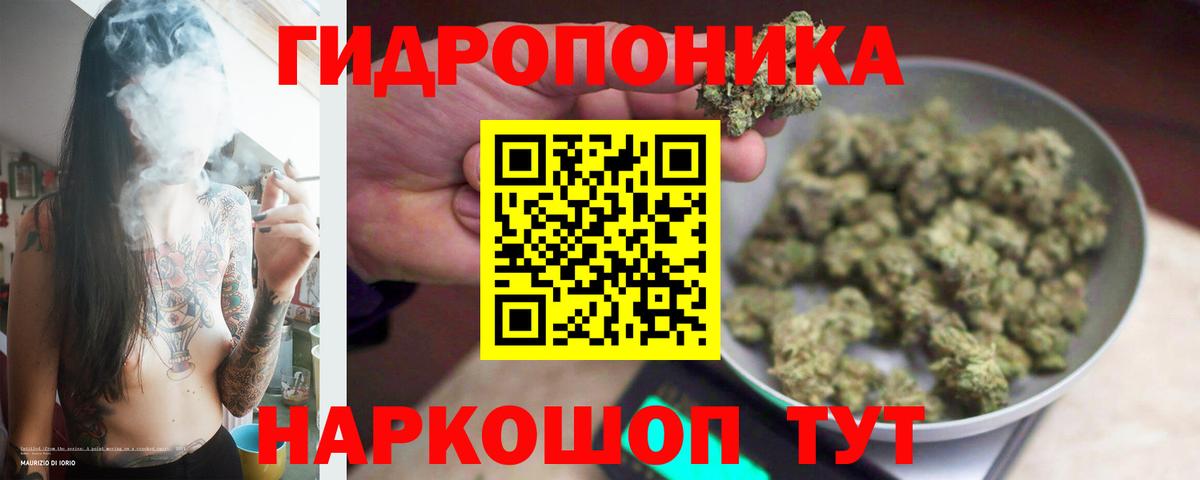 Каннабис AK-47 Йошкар-Ола